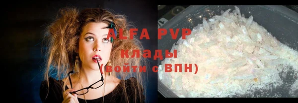 хмурый Абаза