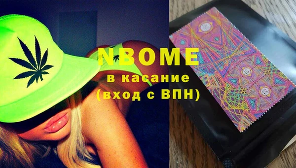 хмурый Абаза