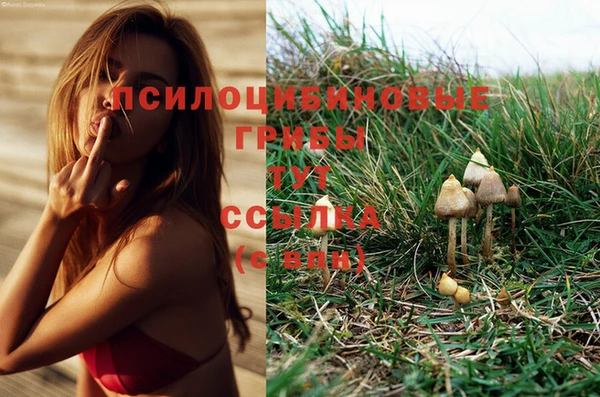 первитин Абдулино