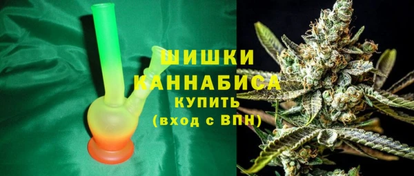 хмурый Абаза