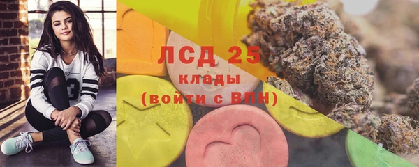 гидра Алексеевка