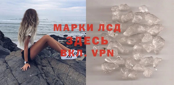 хмурый Абаза
