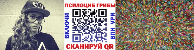 где найти наркотики  kraken рабочий сайт  Псилоцибиновые грибы ЛСД  Череповец 